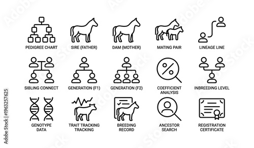 Equine pedigree icons: breeding charts, ancestry search, genetic data, mating pairs, lineage analysis