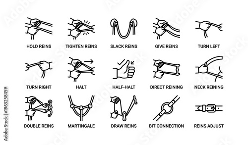 Horse riding techniques: reins handling and commands illustrated guide