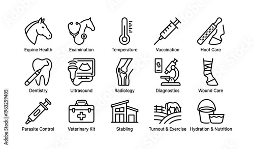 Icons representing equine health and veterinary care procedures