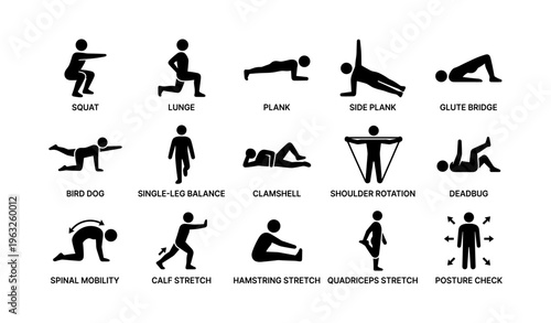 Illustrated guide to basic exercise positions and stretches for fitness