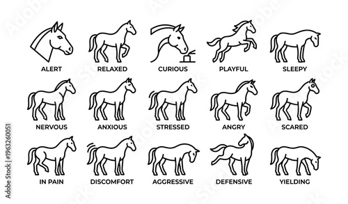 Horse emotions line art: alert, relaxed, curious, playful, sleepy, nervous, anxious