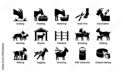 Goat farming icons: grazing, feeding, shelter, milking, cheese making