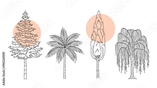 Four different tree species including fir, palm, cypress, and willow rendered in detailed line art with soft orange circular accents.