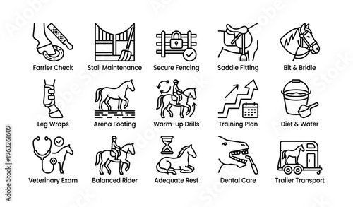 Horse care icons including farrier check saddle fitting veterinary exam and training plan