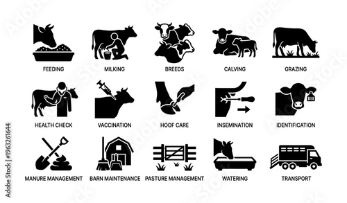 Dairy farming process icons: feeding, milking, breeds, calving, grazing, health, vaccination, hoof care, insemination