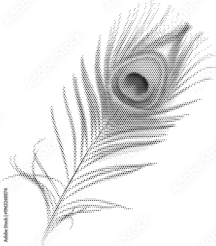peacock feather bird halftone nature beauty pattern detail decorative blue plum feathers plume natural