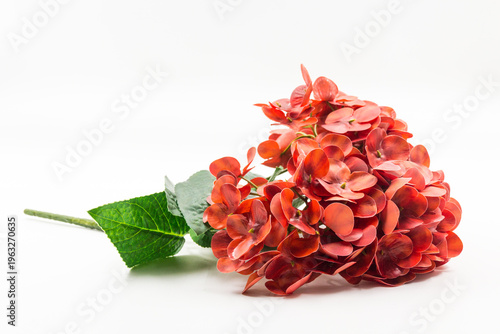 Valokuva A detailed close-up of a vibrant artifical hydrangea bouquet with green leaves, isolated against a clean, professional white background