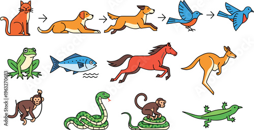 Animal Action Sequence and Movement Vector Set with Cat Dog Fox Bird Frog Fish Horse Kangaroo Monkey Snake Lizard for Educational Cartoon Illustration