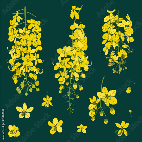 Thai national flower Ratchaphruek blossom collection, Yellow floral design for Songkran festival