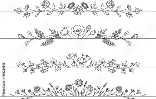 Set of botanical floral ornament divider