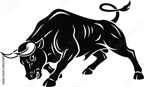 A black bull with its head down and tail up in a powerful stance