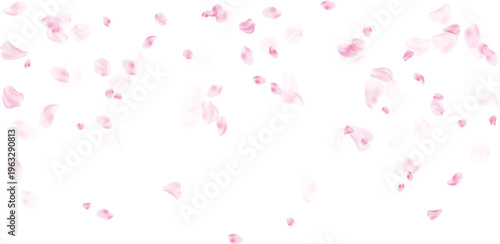 Pink rose petals scattered for a romantic wedding invitation background with copy space