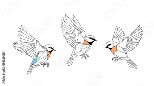 Three minimalist geometric line art illustrations of birds in flight with subtle blue and orange color accents on their bodies and wings.