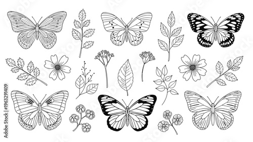 Extensive collection of hand-drawn botanical line art including several butterfly species, various leaves, and delicate flowers on a white background.