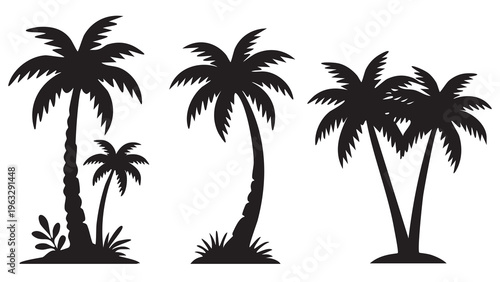 Silhouetted palm trees against a white background showcasing tropical vegetation.