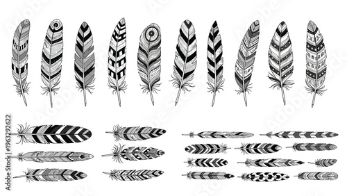 Collection of fourteen detailed black and white bird feather illustrations featuring diverse patterns and textures in multiple orientations.