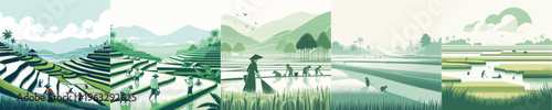 vector view of rice fields and farmers