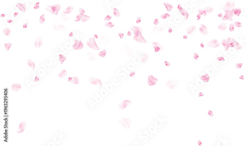 Pink rose petals scattered for a romantic wedding invitation and floral background