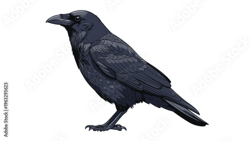 Detailed profile illustration of a black raven with intricate feather textures standing on its own on a clean white background.