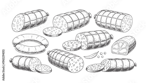 Hand drawn collection of various sausages and meat products salami food