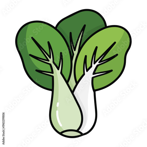 Bok Choy Vegetable Illustration Closeup.