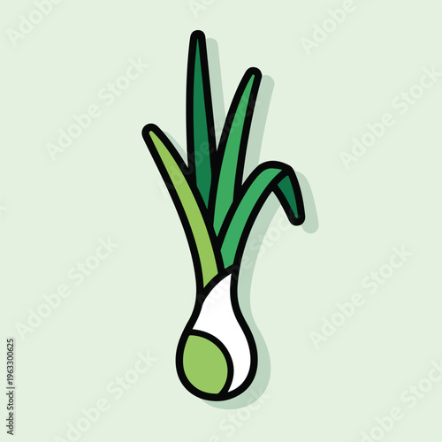 Green Onion Bulb with Leaves.