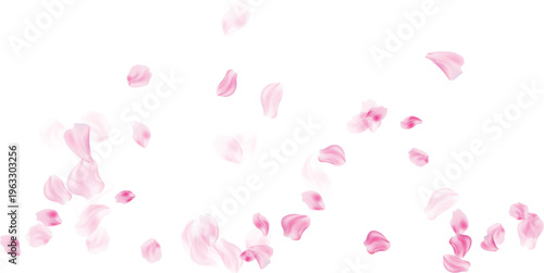 Petals for bridal shower invitation background vector illustration isolated