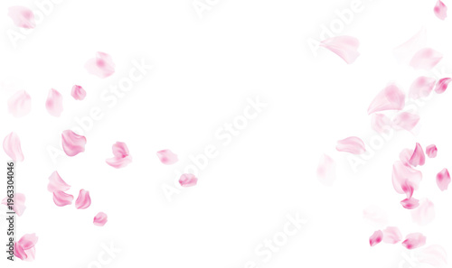 Rose petals for feminine beauty branding vector illustration isolated