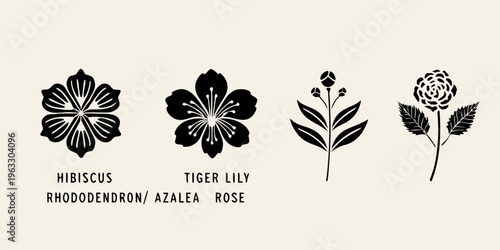 Tableau sur toile Floral illustrations of hibiscus tiger lily rhododendron and rose blossoms