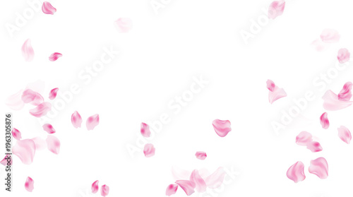 Rose petals for romantic celebration decor vector illustration isolated