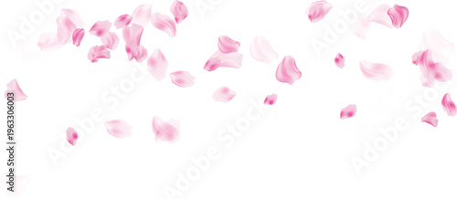 Pink petals for beauty product packaging vector illustration isolated