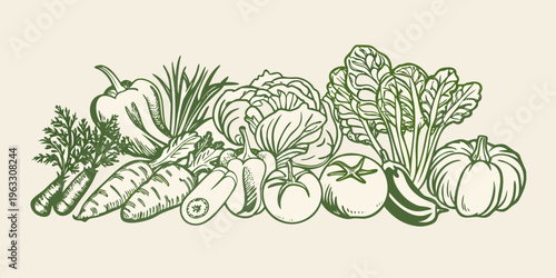 A vibrant sketch of assorted fresh vegetables in a botanical style