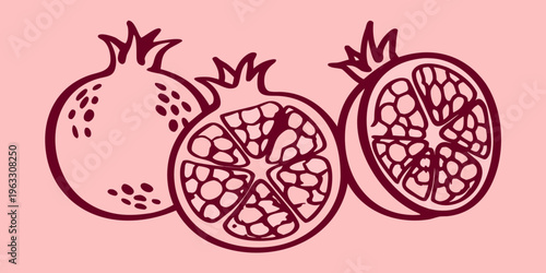 Illustration of pomegranates whole fruit and a cross section display