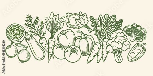 A botanical illustration depicting a variety of fresh garden vegetables