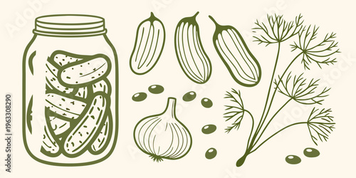 Sketch of pickled cucumbers in a jar with dill and spices