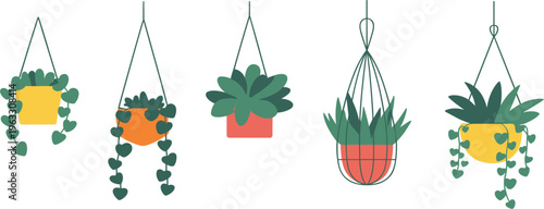 Vector illustration set of hanging indoor plants in colorful pots, decorative houseplants for home interior design