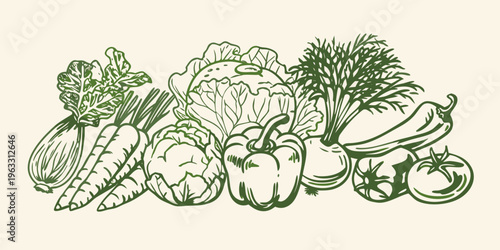 A botanical illustration depicting a colorful arrangement of fresh vegetables