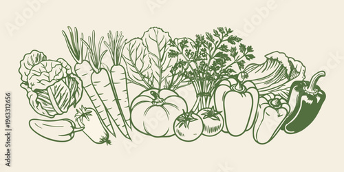 A botanical illustration showcasing a variety of fresh garden vegetables