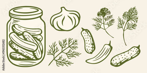 Sketch of pickled cucumbers in a jar with garlic and dill