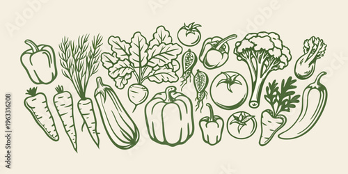 A sketched collection of fresh vegetables in varying shades of green