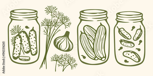 Illustration of glass jars filled with pickles and dill sprigs