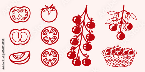 Red tomato illustrations depicting various forms and stages of growth