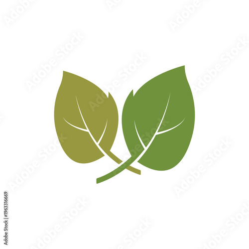 Logos of green leaf ecology nature element vector icon