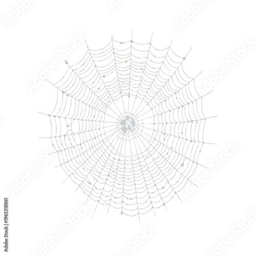 Delicate gray spiderweb with dew drops on a white background