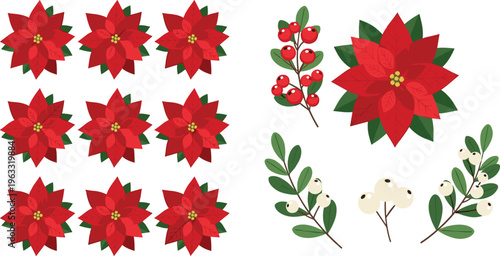 Christmas Poinsettia Flower Set with Holly Berries and Mistletoe Leaves, Festive Red Floral Elements for Holiday Decoration Vector Illustration Collection