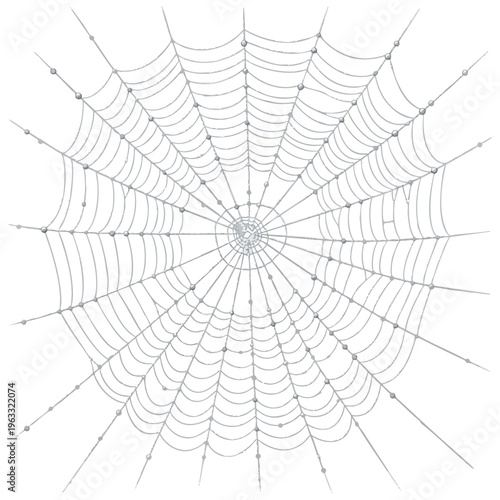 Detailed spider web with dew drops, intricate design, and radial symmetry