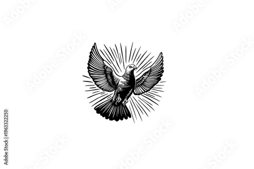 Holy spirit Dove vector illustration, black and white isolated religious symbol for Easter, church faith logo and spiritual print.