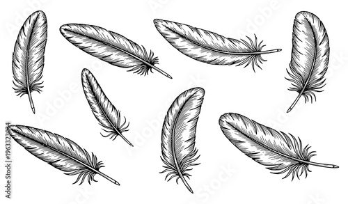 Black quill feather vector set vintage hand drawn realistic plume illustration