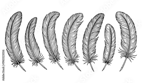 Black feather vector collection hand drawn quill plume sketch illustration