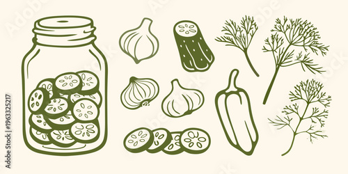Hand drawn illustration of pickles cucumbers and fresh garden herbs